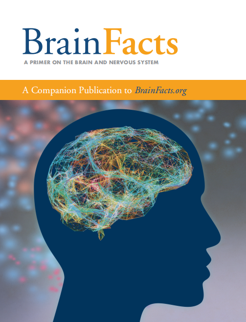 零基礎低年級可衝(chong) ！全新獨家Brain bee競賽自研教材助你高效學習(xi) ！
