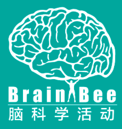 低年級零基礎也能參加的Brain bee腦科學競賽，Brain bee競賽衝(chong) 刺組班中~
