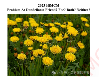 HiMCM競賽曆年賽題拆解分析，衝(chong) 美本top30%的學生都在看！