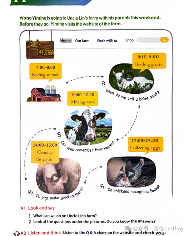 滬上新版英語教材上線，2024小托福更香了！