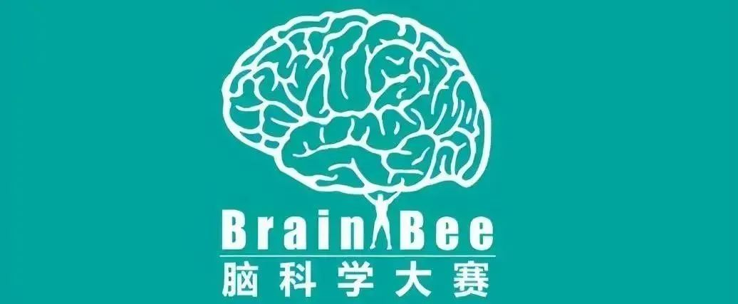 理科生必須知道的一些伟德betvlctor1946！申請TOP院校想要脫穎而出？AMC/BBO/物理碗…必不可少！