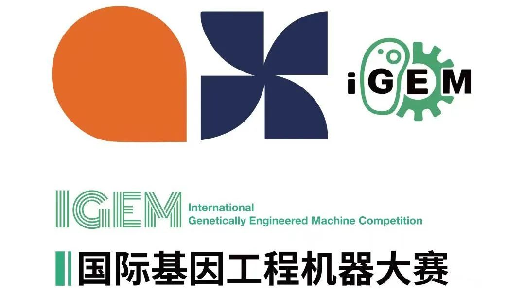 iGEM的知識構成如何？參賽優(you) 勢大嗎？附iGEM備考建議