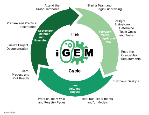 iGEM的知識構成如何？參賽優(you) 勢大嗎？附iGEM備考建議